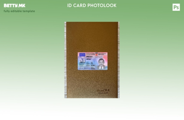 модерен стил Хрватска Преден шаблон со фото изглед на лична карта